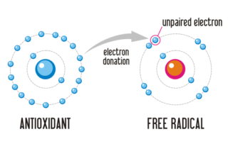 antioxidants