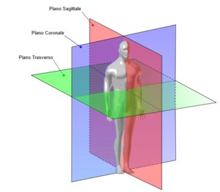 I piani anatomici